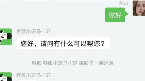 斑马AI英语咋样？我嘞个去，代理这事儿水挺深，听我跟你唠唠！