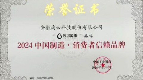 从手忙脚乱到得心应手：那份让我“开窍”的创新创业教育AI代理记账实验报告